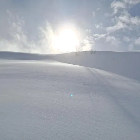 Haus Simone Apartment *